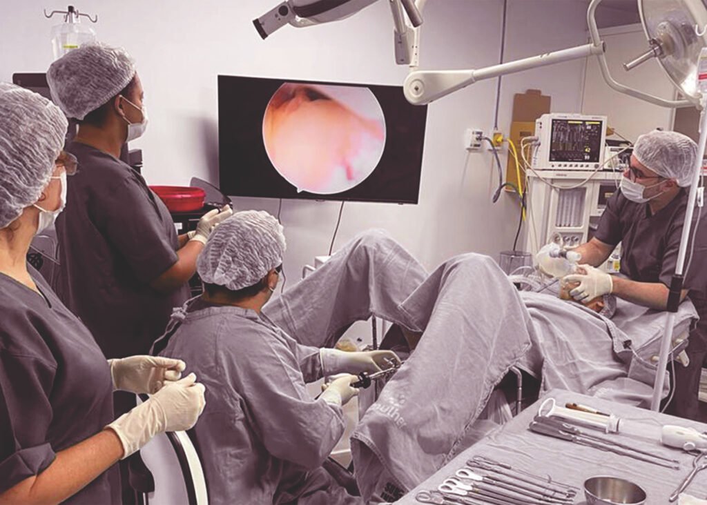 Histeroscopia: o exame que revela a saúde do útero por dentro