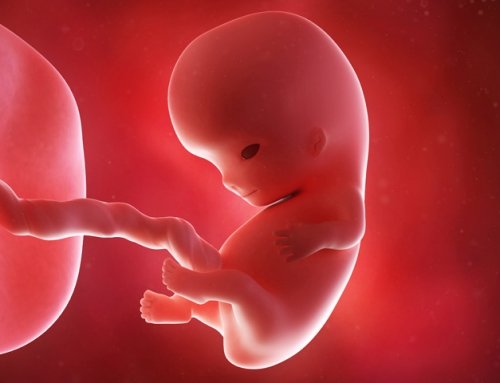 Endometriose e infertilidade: como estão relacionadas e quais são as opções de tratamento